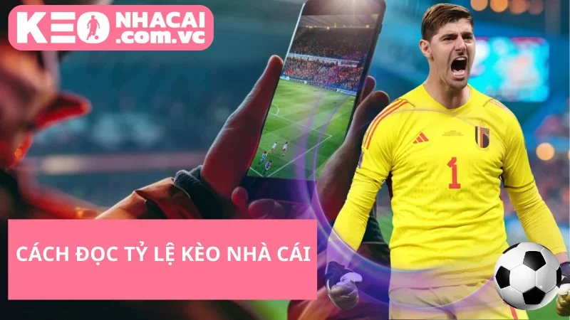 Cách Đọc Tỷ Lệ Kèo Nhà Cái