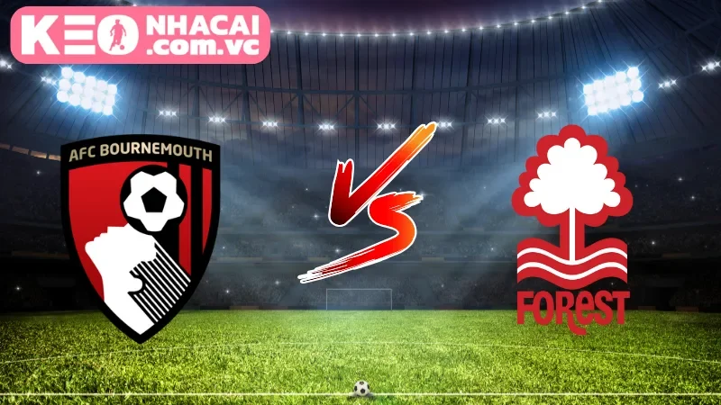 Tổng quan góc nhìn toàn cảnh về trận Bournemouth vs Nottingham Forest