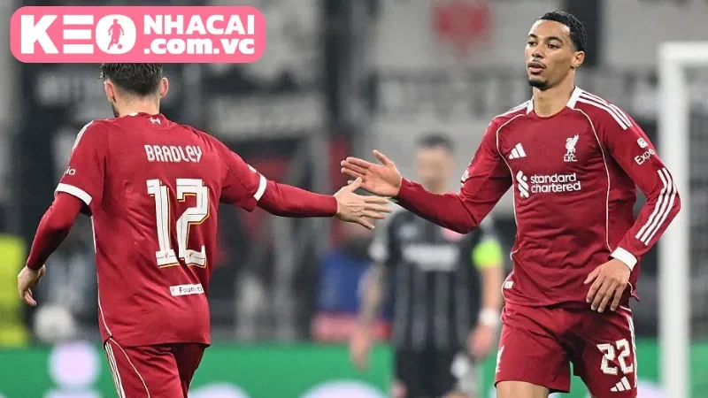 Đánh giá chuyên sâu từ Kèo Nhà Cái VC - Brentford: Sức mạnh đường biên